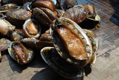 15 món ăn hải sản ngon nổi tiếng không nên bỏ qua - 7